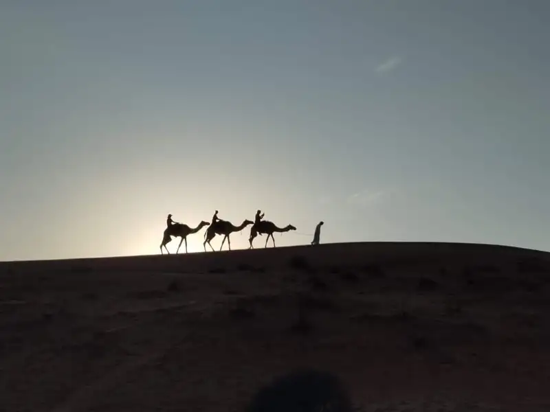 Silhouetten von drei Kamelen mit Reitern, die eine Düne entlangziehen, während eine weitere Person zu Fuß nebenher geht. Der Sonnenuntergang taucht die Szene in warme Farben.