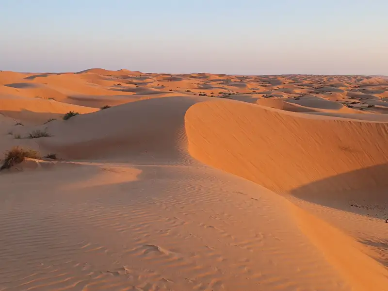 Sanddünenlandschaft in der Wüste.