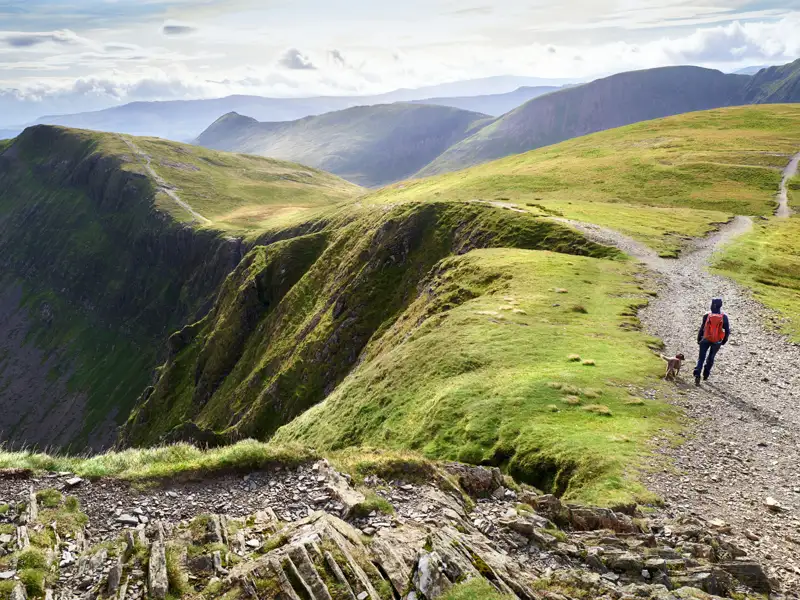 Wanderer mit Hund auf einem Bergpfad.