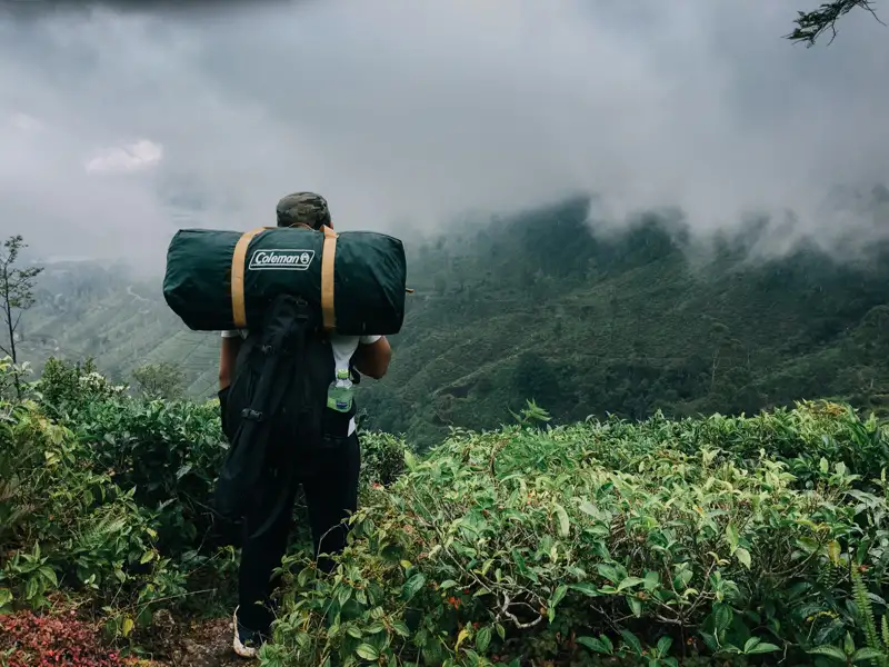 Wanderer mit Zelt im Teefeld vor nebliger Bergkulisse.