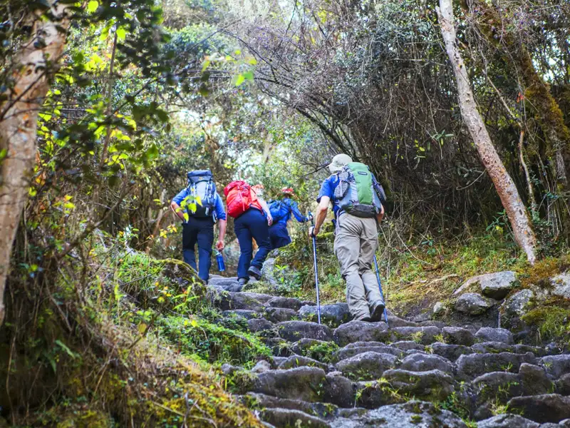 Wanderer auf einem steinigen Pfad im Wald. Sie tragen Rucksäcke und nutzen Wanderstöcke, um das Gelände zu bewältigen.