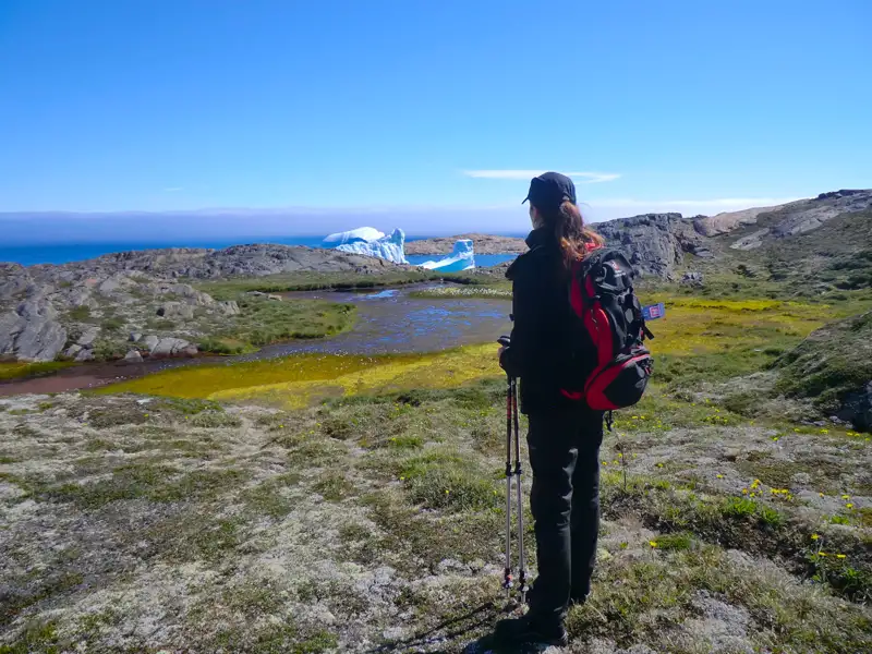 Wanderer betrachtet einen Eisberg in der arktischen Landschaft Grönlands.