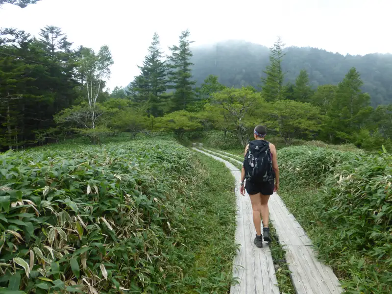 Wanderer auf einem Holzsteg inmitten grüner Vegetation.