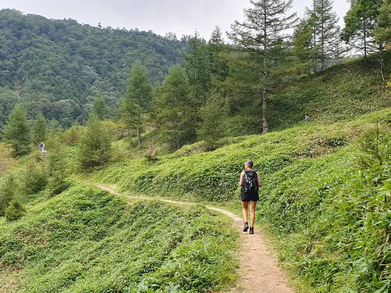 Wanderer auf einem grünen Pfad im Tal.
