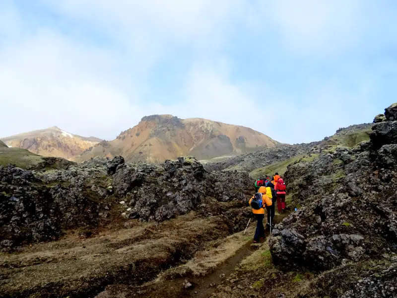 Wandergruppe auf einem Pfad durch ein Lavafeld mit Bergen im Hintergrund.