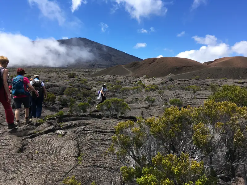 Wandergruppe auf einem Lavafeld, Vulkanlandschaft im Hintergrund.