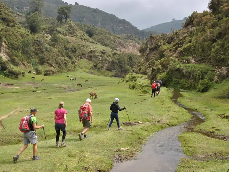 Wandergruppe auf einer Talwanderung, entlang eines Baches mit Weidetieren im Hintergrund.