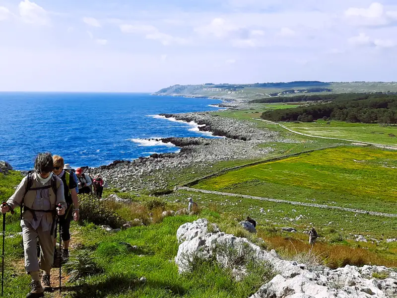 Wanderer mit Trekkingstöcken auf einem Küstenpfad. Das blaue Meer und grüne Felder sind im Hintergrund sichtbar.