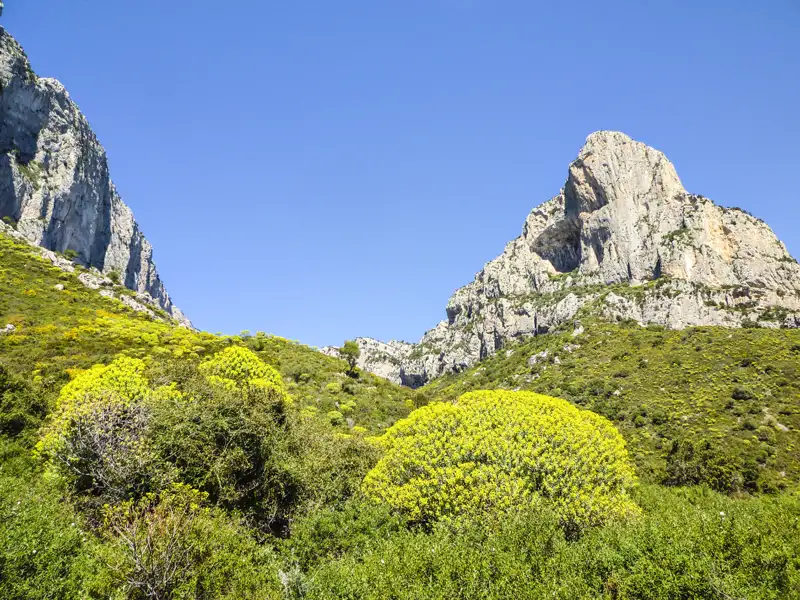 Felsige Berglandschaft mit üppiger grüner Vegetation im Vordergrund.