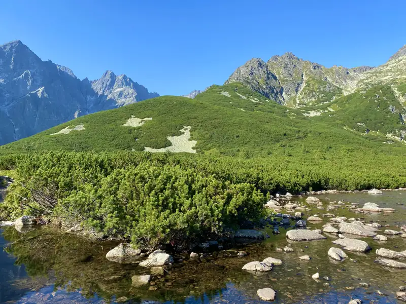 Panorama eines Bergsees mit üppiger Vegetation und den Gipfeln der Hohen Tatra im Hintergrund.