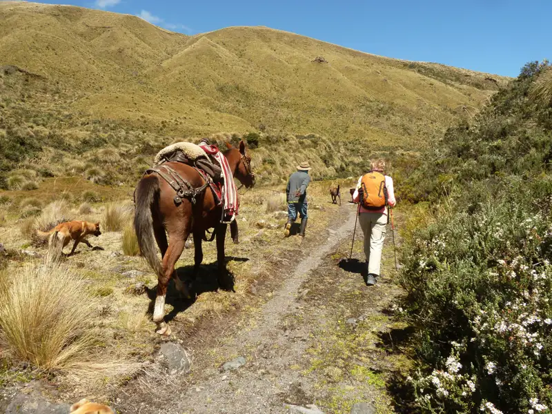 Wanderer mit Packpferd und Hund auf einem Bergpfad.