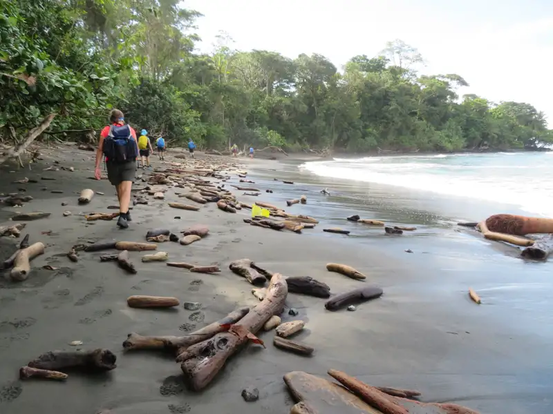 Wanderer auf einem Strand mit Treibholz.