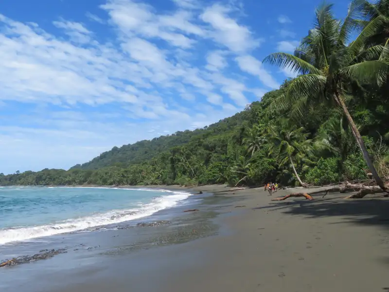 Wanderer auf einem tropischen Strand mit Palmen und bewaldetem Hügel.