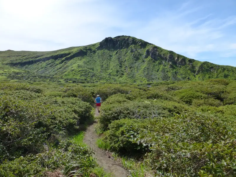 Wanderer auf einem Pfad inmitten von niedriger Vegetation mit Blick auf einen bewachsenen Hügel.