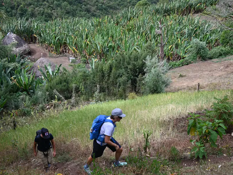 Zwei Wanderer mit Rucksäcken wandern durch landwirtschaftlich genutztes Gebiet, vorbei an Bananenplantagen und traditionellen Hütten.