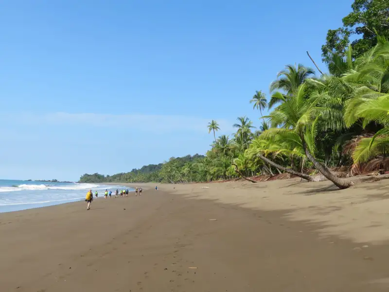 Wanderer auf einem tropischen Strand mit Palmen.