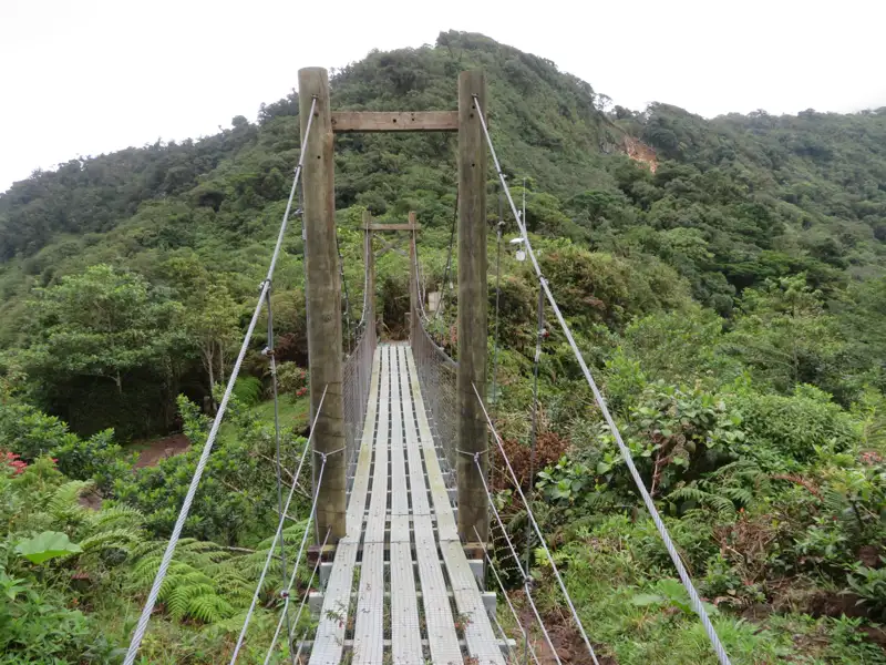 Hängebrücke im Regenwald