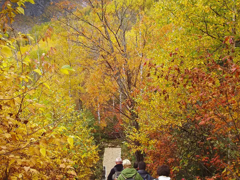 Wanderer auf einem herbstlichen Weg.