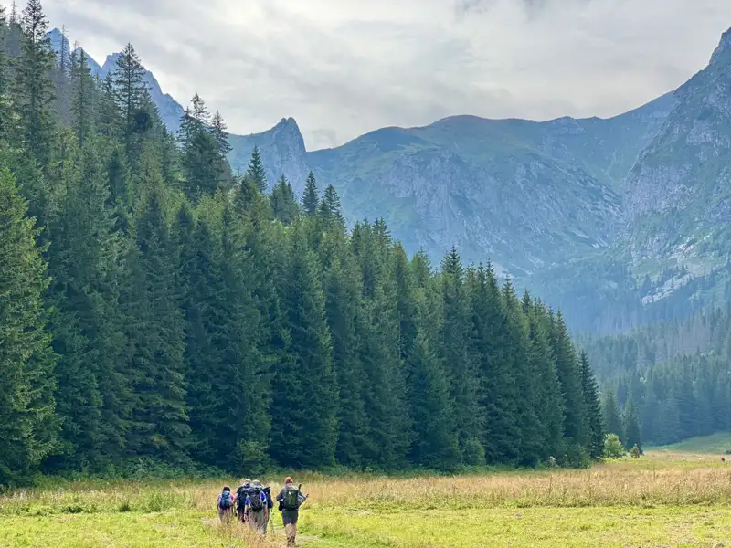 Wanderer auf einem Bergpfad mit Tannenwald und Bergen im Hintergrund.