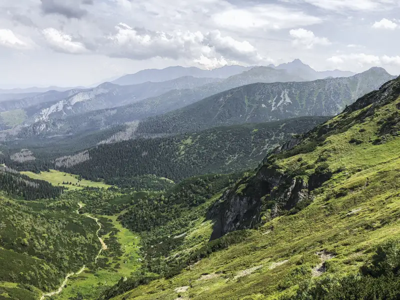 Blick auf ein Bergtal.