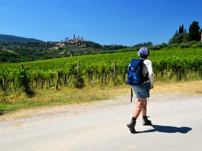 Wanderer auf einem Weg durch Weinberge in der Nähe von San Gimignano.