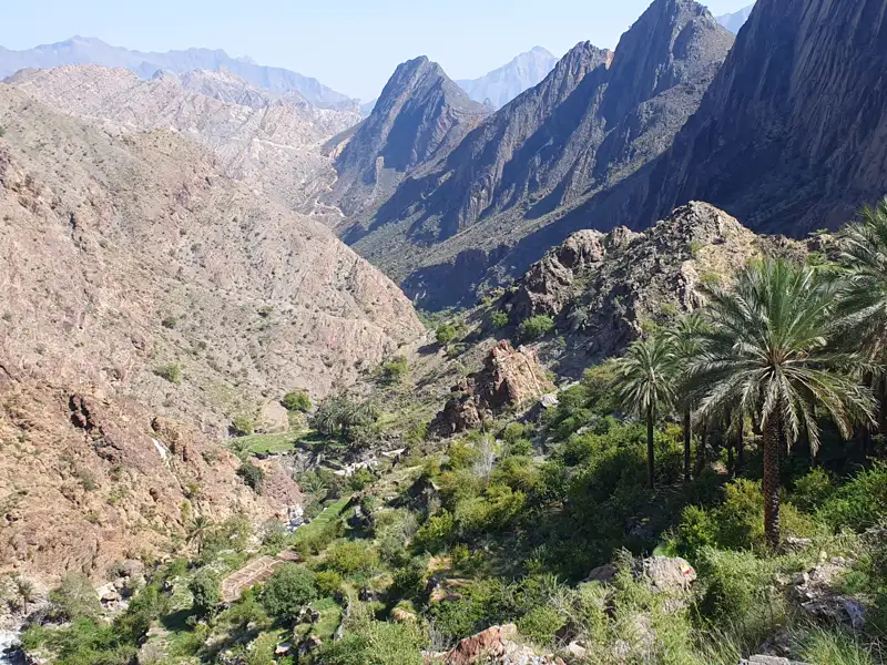 Tal mit Palmen und Bergen im Hintergrund.