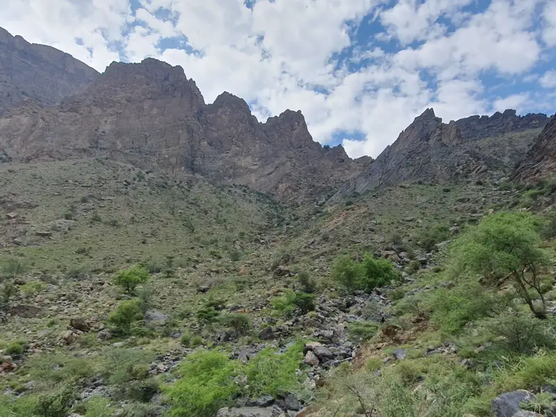 Felsige Berge mit spärlicher Vegetation.