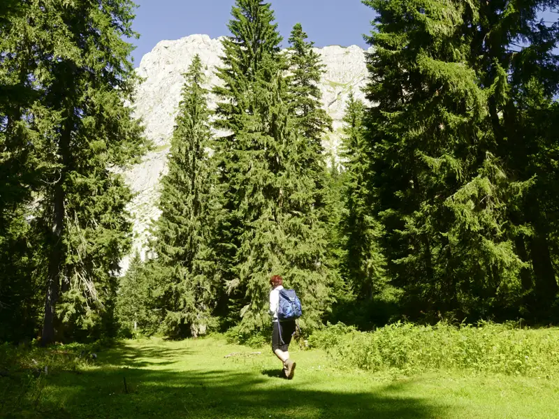 Wanderer auf einem Waldweg mit Blick auf den Berg