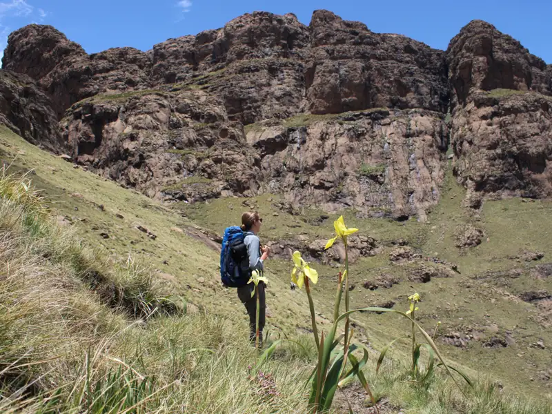 Wanderin mit Rucksack und Wanderstöcken pausiert auf einem Bergpfad neben Wildblumen und betrachtet die felsige Landschaft.