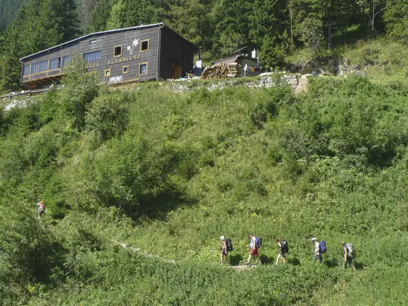 Wanderer auf dem Weg zur Dom na Plevniku Hütte im bewachsenen Gelände.