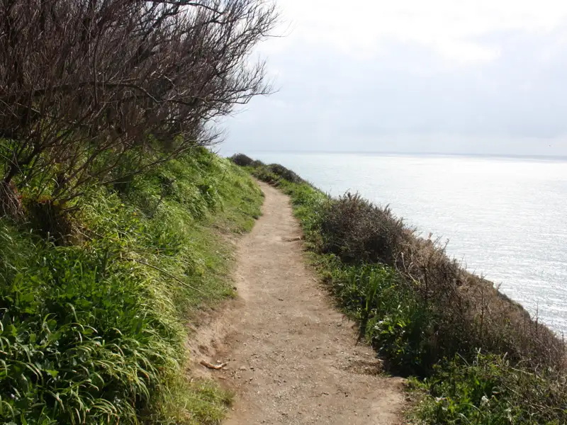 Wanderweg entlang der Küste mit Meerblick.