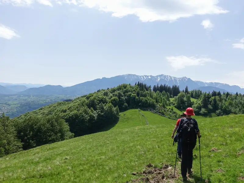 Wanderer auf einem Bergpfad mit Blick auf schneebedeckte Gipfel.