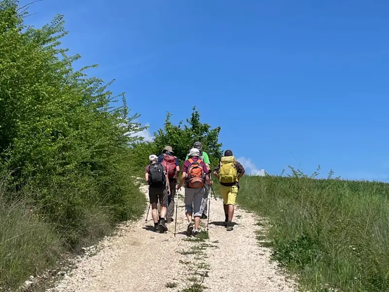 Wanderer auf einem Schotterweg, umgeben von Vegetation.