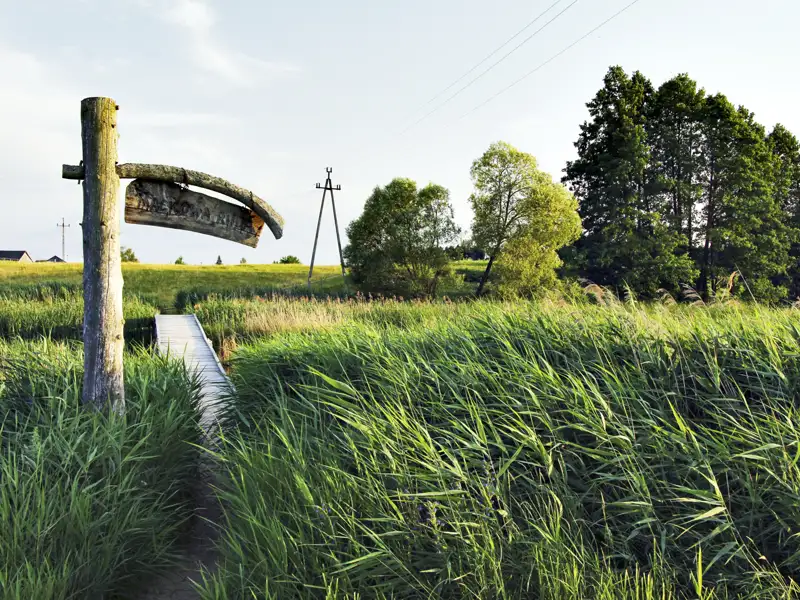 Hölzerner Wegweiser und Steg inmitten von hohem Gras.
