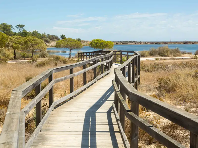 Barrierefreier Holzsteg durch die Dünenlandschaft zum See.