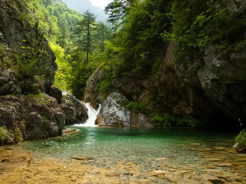 Ein kleiner Wasserfall ergießt sich in einen klaren, türkisfarbenen Pool inmitten einer bewaldeten Schlucht.