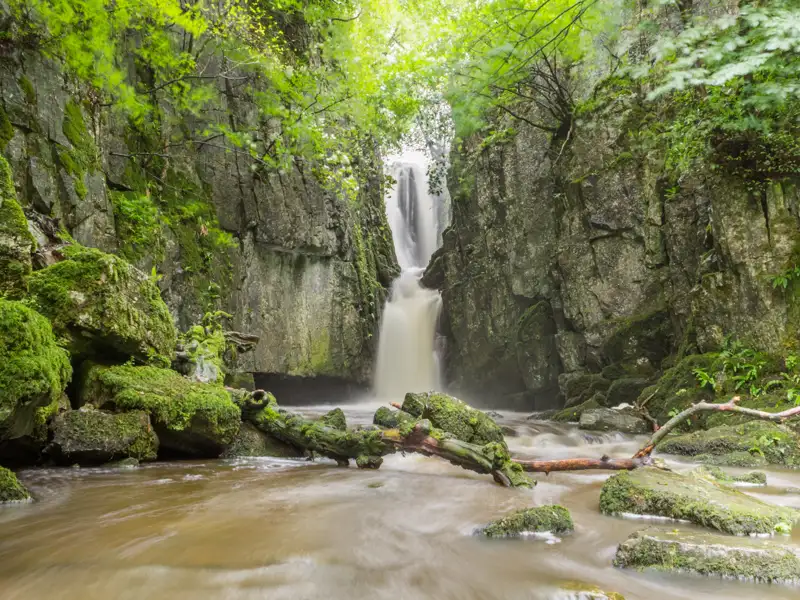 Szenischer Wasserfall inmitten von üppigem Wald.
