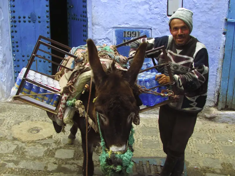 Esel transportiert Waren durch die Stadt.