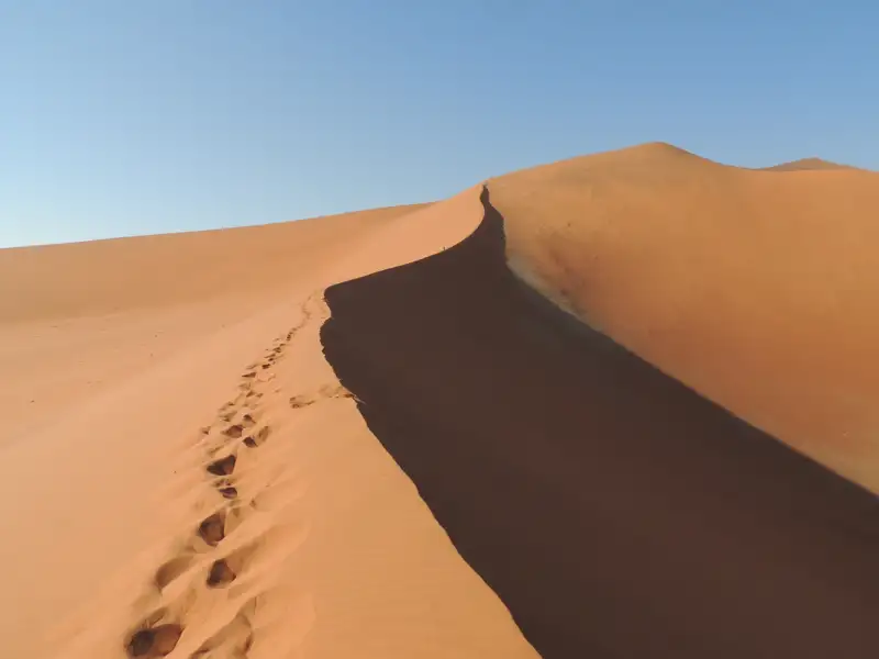 Fußabdrücke im Sand einer Düne.