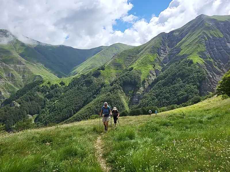 Wanderer auf einem Bergpfad inmitten einer grünen Landschaft.