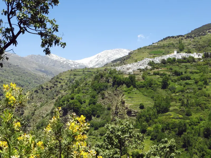 Weißes Bergdorf mit schneebedeckten Bergen im Hintergrund.