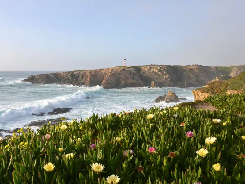 Leuchtturm an der Küste mit blühender Vegetation im Vordergrund.
