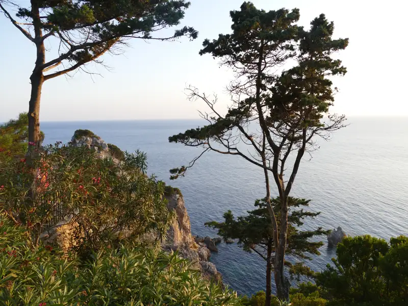 Bäume und Vegetation an der Küste mit Blick auf das Meer.