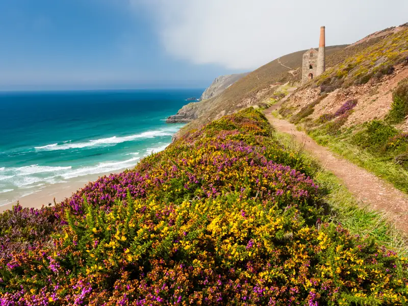 Wanderweg entlang der Küste mit blühenden Pflanzen und altem Bergwerksschornstein.