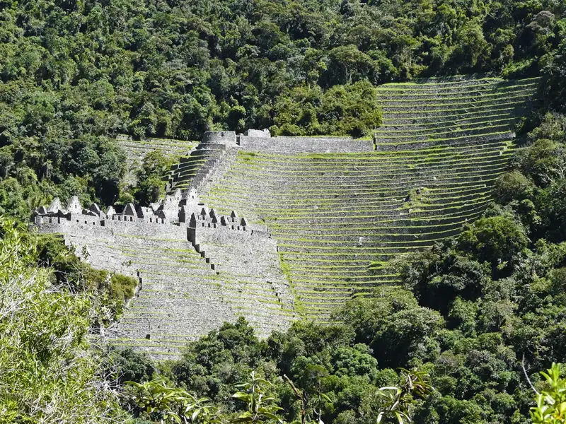Inka-Terrassen und Ruinen im Dschungel.