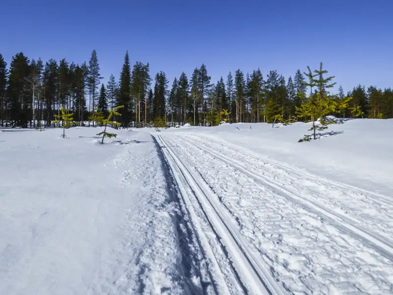Loipe im Schnee mit Bäumen im Hintergrund.
