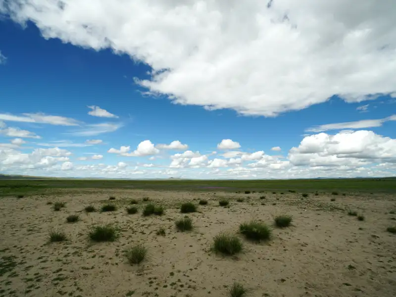 Offene Landschaft mit spärlicher Vegetation und blauem Himmel mit Wolken.