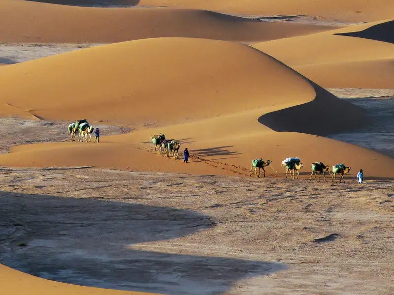 Sanddünenlandschaft