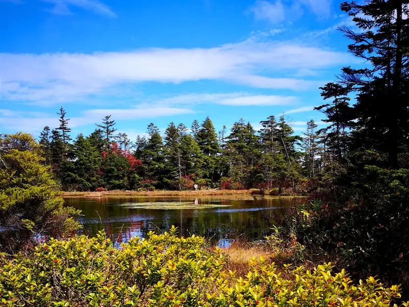 Idyllischer See im Wald mit herbstlichen Farben.