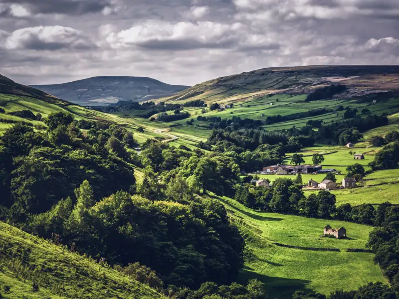 Panoramablick auf eine grüne Hügellandschaft mit landwirtschaftlichen Flächen und bewaldeten Bereichen.